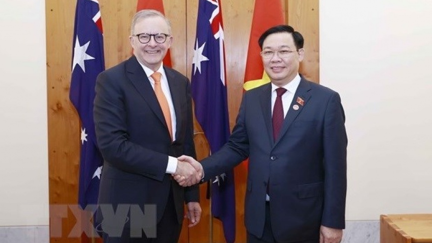 Vietnam, Australia enjoy fruitful strategic partnership: expert